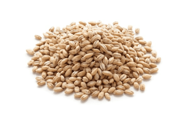 Orge Maltée