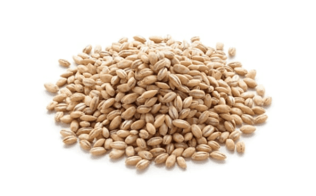 Malted Barley