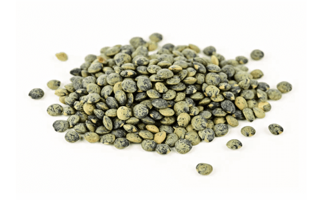 Lentilles vertes maltées